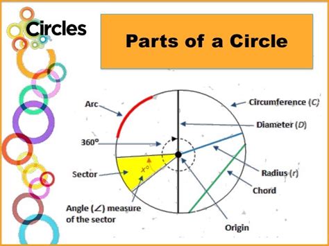 Components of Circle O